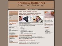 andrewborlandcharteredaccountant.co.uk andrewborlandcharteredaccountant.co.uk