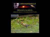 andrewcareyphotography.co.uk Wildlife,Native British,Photography