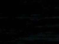 Andrew Coleman Photography Andrew Coleman Photography