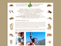 Andrew Smith tarantula spider lectures