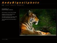 Welcome to Andybignellphoto: AndyBignellphoto Welcome to Andybignellphoto: AndyBignellphoto