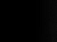 A.P.| Home. | APeters.co.uk