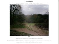 andysewell.com The Heath, Work in progress, Commissions