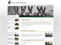 anespyrenees.fr âne, pyrenées, landes anespyrenees.fr âne, pyrenées, landes