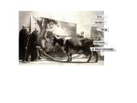 aaronniequist.com aaronniequist.com