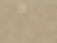 Andy's Travel Page Andy's Travel Page