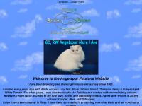 Angelspur Persians - Specializing in Whites *Blue-Eyed, Copper-Eyed, & Odd-Eyed*