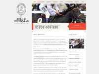 Anglo Hibernian - Bloodstock and equine insurance specialists Anglo Hibernian - Bloodstock and equine insurance specialists