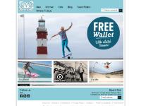  kite, wakeboard, snow, snowboard