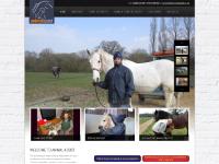 animalassist.co.uk Equine Osteopathy, Canine Osteopathy, Feline Osteopathy animalassist.co.uk Equine Osteopathy, Canine Osteopathy, Feline Osteopathy