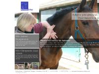 What is McTimoney for Animals?, McTimoney technique for animals, web design by Tonicbox What is McTimoney for Animals?, McTimoney technique for animals, web design by Tonicbox