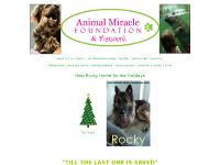 founder , get involved, , programs founder , get involved, , programs