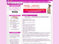 animalsos-mada.com - animalsos-mada animalsos-mada.com - animalsos-mada