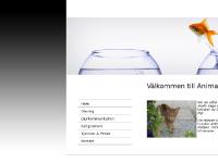 animalspirit.se Om mig, Djurkommunikation, Kattproblem