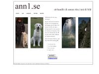 ann1.se ann1.se