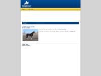  Tidningenridsport, Design av Jiwe.