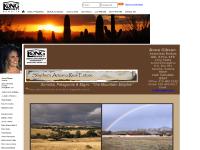 Anne Gibson - Homepage | Anne Gibson - Long Realty Company | Long Realty