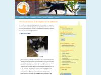 Annex Cat Rescue | Cat Adoption with a Difference Annex Cat Rescue | Cat Adoption with a Difference