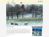 Art Courses, Biography, How to find us, 'Following On' Art Courses, Biography, How to find us, 'Following On'