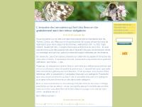 annuaires-liens-en-dur.com annuaires-liens-en-dur.com