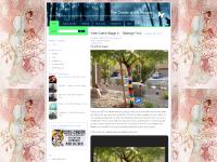 The Center of the Anomaly The Center of the Anomaly