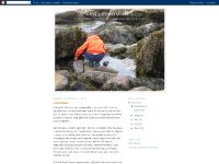 anonymomous.blogspot.com Collections, 6:42 PM, Where Have All the Children Gone?