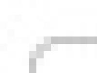 ANQ - Association des neurologues du Québec