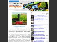 Find beautiful Ansel Adams Photography.