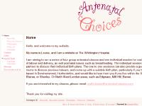 Antenatal Choices