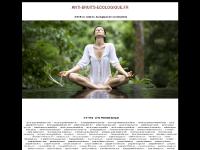 anti-bruits-ecologique.fr hardwood, parquet, parquet flottant