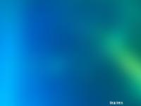 apex-international.org