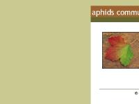 Home Page - Aphids Communications