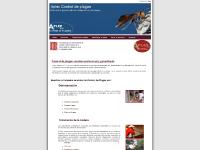 Control de plagas Barcelona. Control de plagas Mataró. Desinsectación y desratización. Aplex Plagas Control de plagas Barcelona. Control de plagas Mataró. Desinsectación y desratización. Aplex Plagas