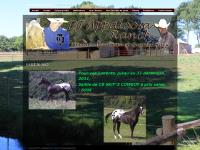 appaloosa-quarter-dj-ranch.com appaloosa-quarter-dj-ranch.com