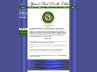 Apricot Red Poodle Club - Red Apricot Poodle Club Apricot Red Poodle Club - Red Apricot Poodle Club
