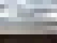 American Penstemon Society | Home Page American Penstemon Society | Home Page