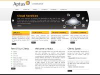  Clients, Services, Application Development, Remote Infrastructure Management