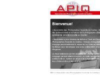 Association des Photographes Incendie du Qu&eacute;bec (APIQ)