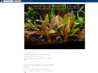 aquabotanic.blogspot.com 5:59 PM, 3:20 PM, Extreme Planted Nanos aquabotanic.blogspot.com 5:59 PM, 3:20 PM, Extreme Planted Nanos