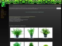 aquamadern aquamadern