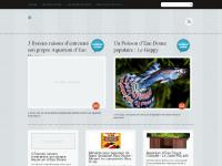 Aquarium d'eau douce | Tout pour Débuter en Aquariophilie! Aquarium d'eau douce | Tout pour Débuter en Aquariophilie!