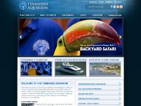 aquariumpackages.com