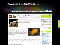 Impressive and Creative Aquariums, Midwest Custom Aquariums, New England Aquarium, Photos of Coral Reef  Impressive and Creative Aquariums, Midwest Custom Aquariums, New England Aquarium, Photos of Coral Reef