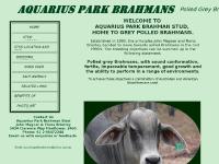 Aquarius Park Brahmans home of polled grey brahmans