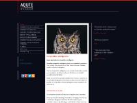 Competitive Intelligence. Industry Analysis. - Aqute Competitive Intelligence. Industry Analysis. - Aqute