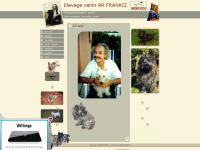  Cairn Terrier, Pension, Plan, Weboscope