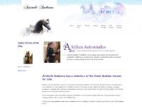 arabianhorsesforsale.co.uk Aristotle Arabians, Arabian Horses For Sale, Arabian Horse Stud Farm