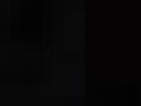 Arcalian Ltd Arcalian Ltd