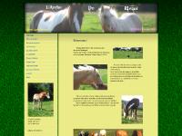 L' Arche De Riwan, élevage et vente de chevaux paint horses - L' Arche De Riwan L' Arche De Riwan, élevage et vente de chevaux paint horses - L' Arche De Riwan