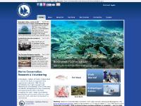 ?????? ?????? - ???????????, ?????????? ????????? ??????????